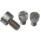screw type SKD61 Steel Mold Date Insert die casting parts